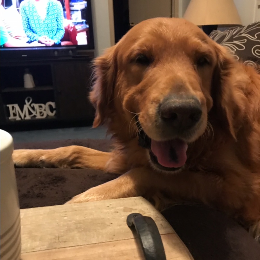 Meet your seller Gage